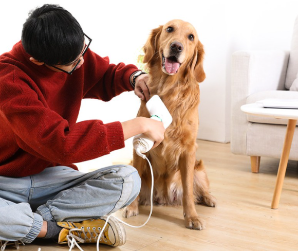 펫 애견 반려동물 고양이 강아지 드라이어 드라이기 추천 가성비 인기 순위 상품평 리뷰 리젠 저소음 에어탱크 건조기 털 말리기 에어 브러쉬