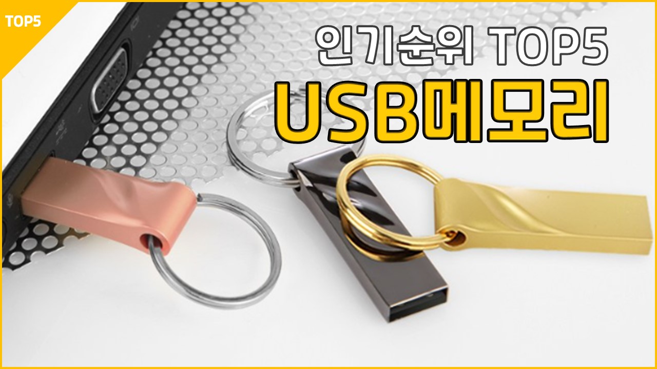 23년1월 USB 메모리 추천 리뷰 뮤스트 삼성전자 액센 플레이고