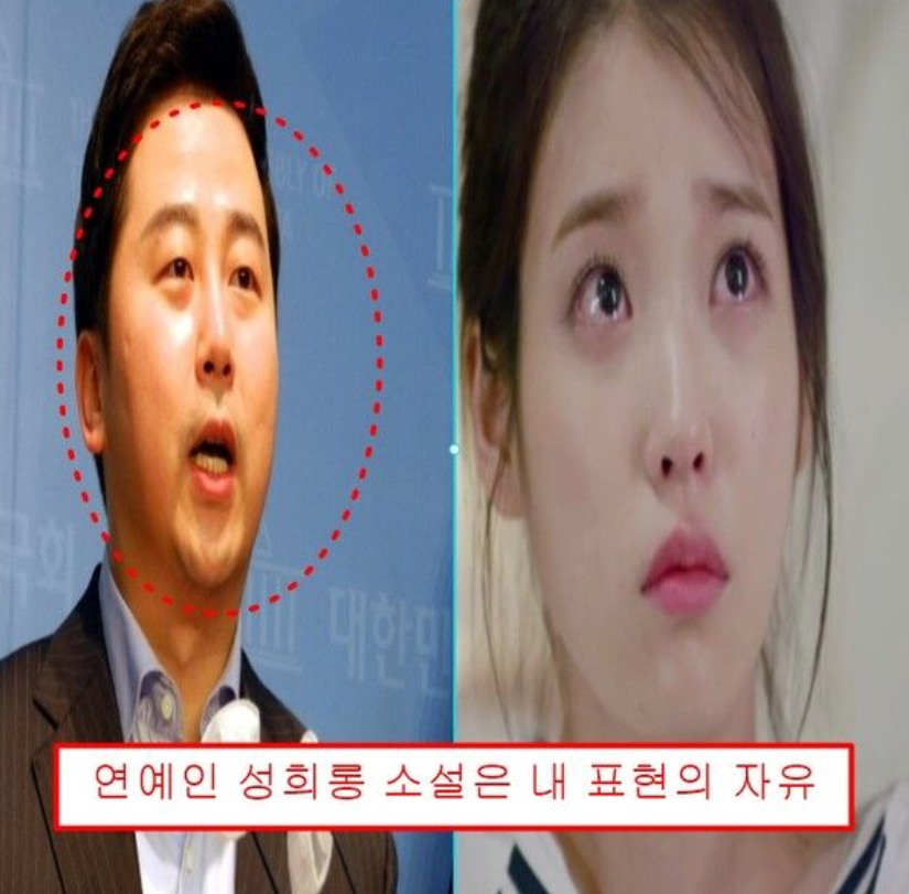 가수 아이유,배우 김혜수 등 여자 연예인들 대상으로 야설 쓴 국민의힘 정치인