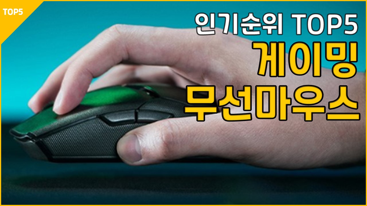 23년2월 무선 게이밍 마우스 추천 리뷰 레이저 로지텍 다얼유 앱코