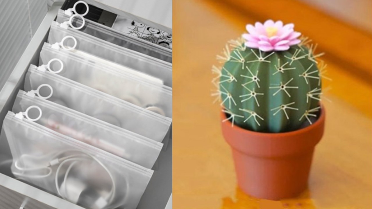 1397 고리 지퍼백 반투명 파우치 & 선인장 조미료통