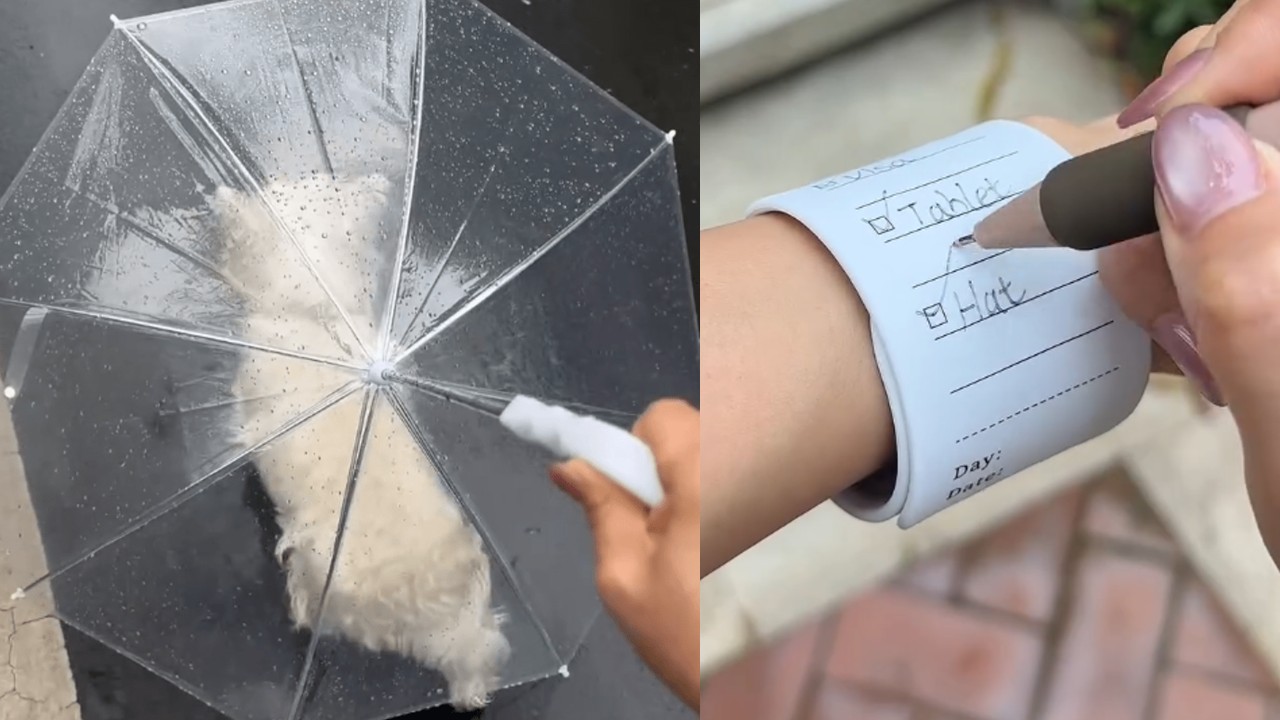 1553 강아지 산책 우산 & 간호사 손목 메모 팔찌